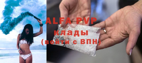 прущие грибы Балахна