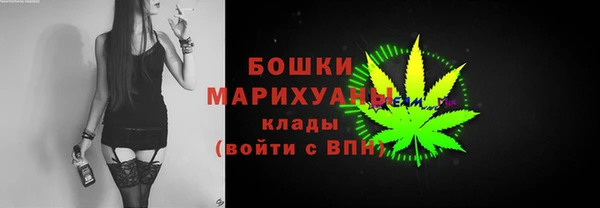 прущие грибы Балахна
