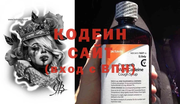 прущие грибы Балахна