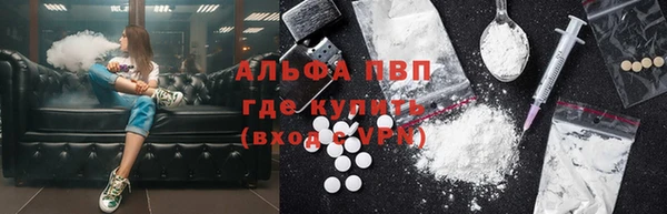 прущие грибы Балахна