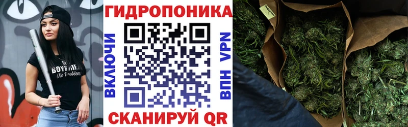 даркнет сайт omg ССЫЛКА Канабис AK-47 Электросталь